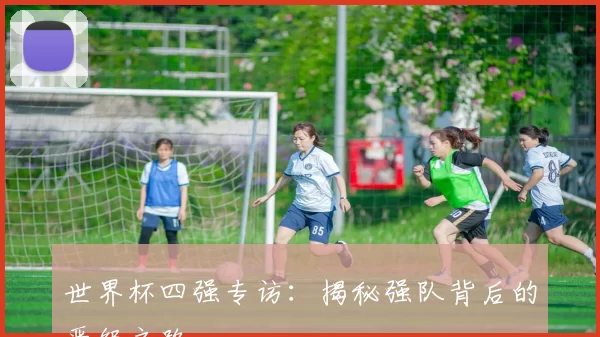 世界杯四强专访：揭秘强队背后的晋级之路
