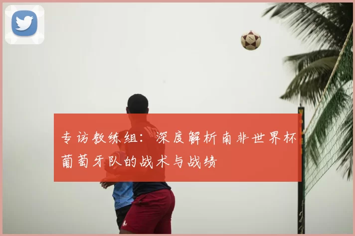 专访教练组：深度解析南非世界杯葡萄牙队的战术与战绩