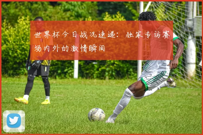 世界杯今日战况速递：独家专访赛场内外的激情瞬间
