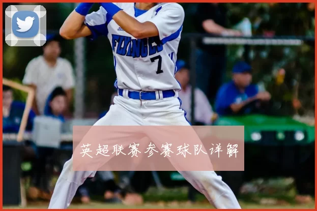 英超联赛参赛球队详解