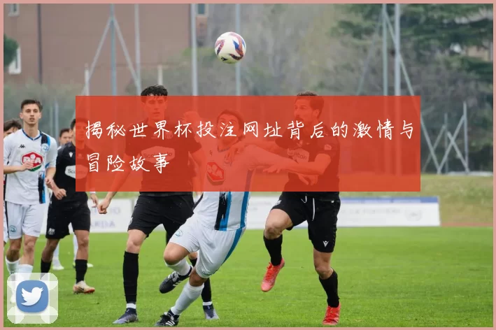 揭秘世界杯投注网址背后的激情与冒险故事