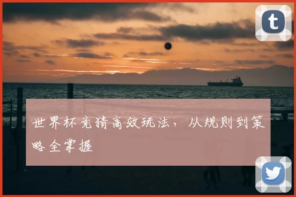 世界杯竞猜高效玩法，从规则到策略全掌握