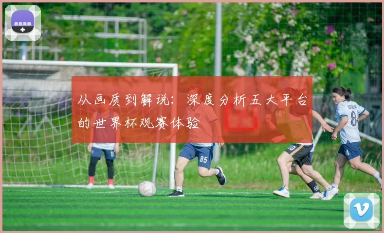 从画质到解说:深度分析五大平台的世界杯观赛体验