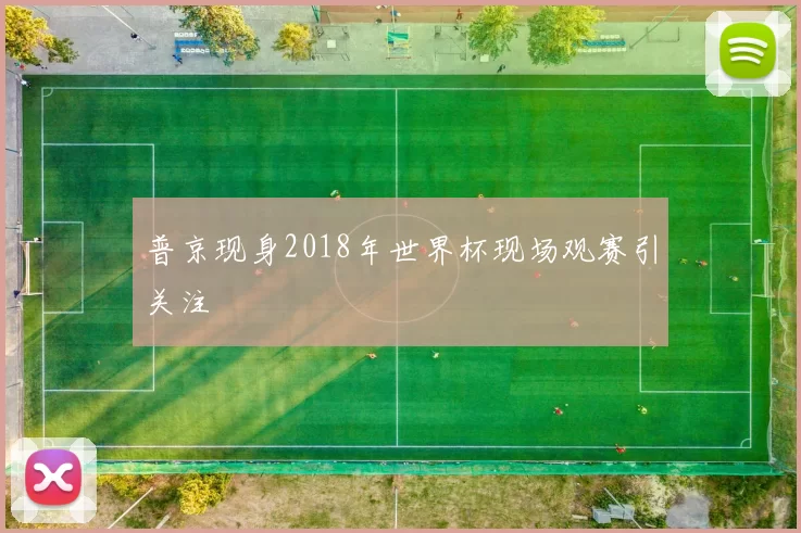 普京现身2018年世界杯现场观赛引关注