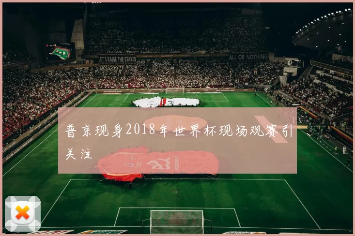普京现身2018年世界杯现场观赛引关注