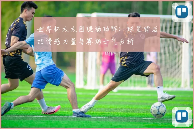 世界杯太太团现场助阵：球星背后的情感力量与赛场士气分析