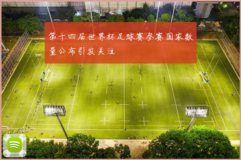第十四届世界杯足球赛参赛国家数量公布引发关注