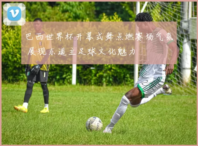 巴西世界杯开幕式舞点燃赛场气氛 展现东道主足球文化魅力