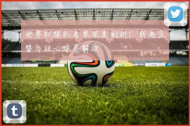 世界杯球队名单深度剖析:新老交替与核心球员解读
