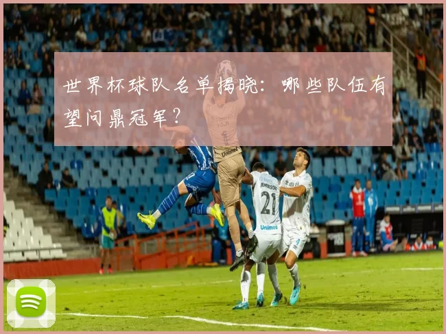 世界杯球队名单揭晓：哪些队伍有望问鼎冠军？