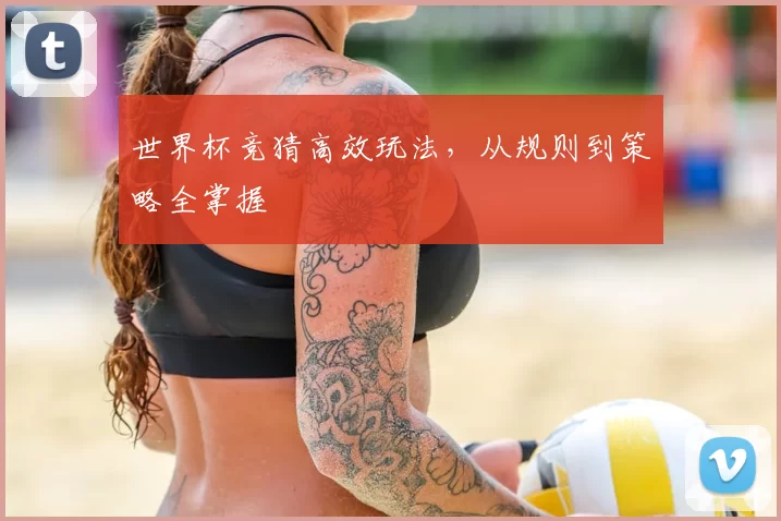 世界杯竞猜高效玩法,从规则到策略全掌握